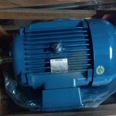 Motor Electrico